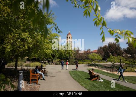 Palo Alto, Californie, États-Unis - 18 avril 2025 : les gens marchent sur le campus de l'Université de Stanford. Banque D'Images