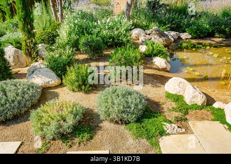 Arrière-cour ou patio avec un aménagement paysager fantastique avec des plantes résistantes à la sécheresse Banque D'Images