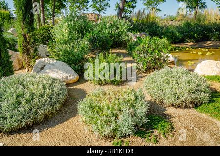 Arrière-cour ou patio avec un aménagement paysager fantastique avec des plantes résistantes à la sécheresse Banque D'Images
