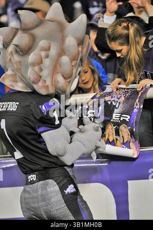 23 octobre 2010 : . TCU Horned Frog Macot signe un match de autograph.in entre Air Force Falcons et TCU Horned Frogs au stade Amon G. carter de Fort Worth, Texas..TCU gagne 38-7..(image de crédit : â© Manny Flores/Cal Sport Media)(image de crédit : © Manny Flores/Cal Sport Media/ZUMApress.com) Banque D'Images