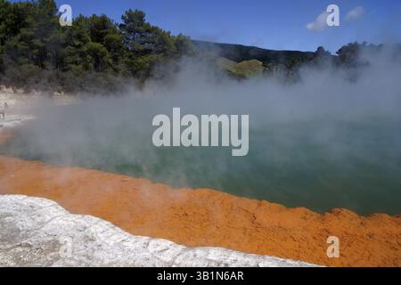 Champagne Pool, Wai-O-Tapu Thermal Wonderland, Nouvelle-Zélande, Océanie Banque D'Images