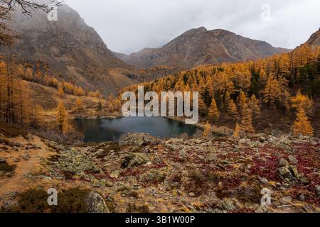 Scène automnale paisible avec lac de montagne entouré d'arbres dorés et terrain accidenté. Banque D'Images