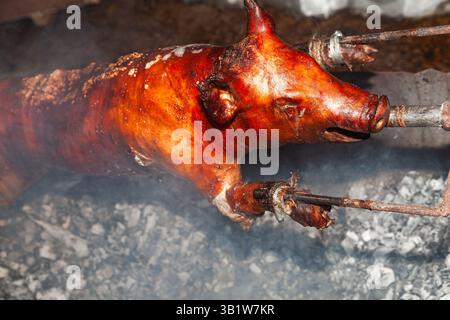 Un jeune cochon est rôti à la broche sur des charbons. Banque D'Images