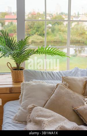 Coussins doux sur le lit et plante verte dans un pot en osier sur le rebord de la fenêtre de grand fond de fenêtre en journée ensoleillée. De nombreux oreillers beiges décoratifs sur confortable Banque D'Images