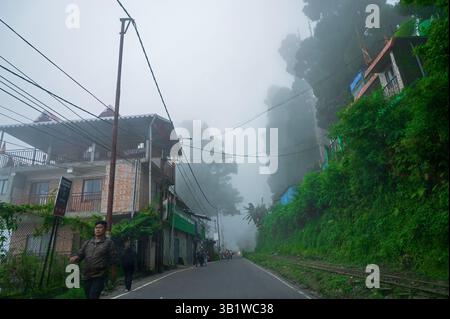 Kurseong, Bengale occidental, Inde - 10 août 2023 : maisons et une route en béton passant par les montagnes de l'Himalaya et la forêt verdoyante. Nature pittoresque. Banque D'Images