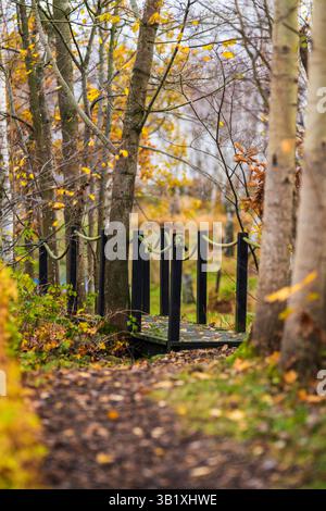 Petite passerelle en bois avec mains courantes en corde Banque D'Images