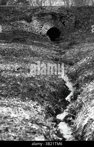 Concept monochrome d'un drain en pierre à l'extrémité d'un petit lit de ruisseau dans un petit creux de l'orientation verticale du parc Banque D'Images