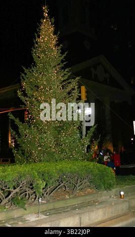 Dec. 5, 2004 - New York, New York, États-Unis - K40744WR.LE 60E ANNUEL PARK AVENUE ÉCLAIRAGE DE SAPIN DE NOËL ET CAROL SING. L'ÉGLISE PRESBYTÉRIENNE EN BRIQUE 91ST NEW YORK NEW YORK 12-05-2004. WILLIAM REGAN-(crédit image : © William Reagan/Globe photos/ZUMAPRESS.com) Banque D'Images