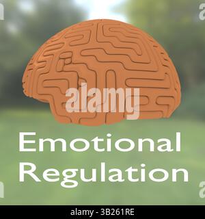 Illustration 3D d'un cerveau humain, intitulée régulation émotionnelle. Banque D'Images