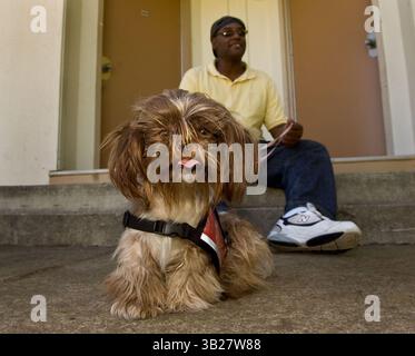 Tony Austin, 55 ans, a rencontré Taffy, un Shih Tzu, pour la première fois le mercredi 16 septembre 2009. Il s’entraînera et vivra avec elle pendant huit mois pour four Paws for Vets. Les hommes et les femmes sans-abri vivant au campus communautaire de Mather sont jumelés avec des chiens, certains provenant du refuge de la ville, pour être formés comme ''chiens d'assistance'' pour les vétérans de guerre souffrant de stress post-traumatique et d'autres troubles anxieux. (Crédit image : © Sacramento Bee/ZUMA Press) Banque D'Images