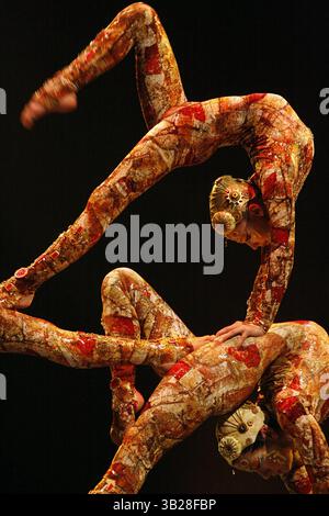19 août 2009 - Denver, Colorado, États-Unis - des contorsionnistes se produisent lors d'une répétition générale pour « Kooza » du Cirque du Soleil au Pepsi Center de Denver, Colorado (19 août 2009). Le cirque humain en tournée basé à Montréal sera à Denver pendant six semaines. Kooza compte plus de 50 interprètes de 16 pays. (Crédit image : © Jeremy Breningstall/ZUMA Press) Banque D'Images
