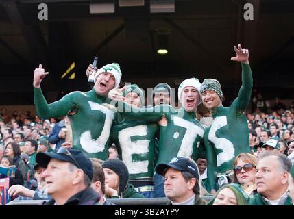 29 novembre 2009 - East Rutherford, New Jersey, États-Unis - novembre 29 2009 : les fans des jets lors d'un match de NFL entre les jets de New York et les Panthers de la Caroline au Giants Stadium à East Rutherford, New Jersey. Les jets ont battu les Panthers 17-6.(image crédit : © Duncan Williams/Cal Sport Media/ZUMApress.com) Banque D'Images