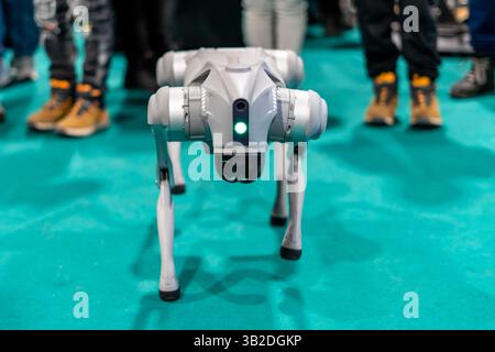 Chien robot militaire gris lors d'une démonstration avec un fond vert Banque D'Images