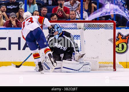 14 novembre 2015 : le centre des Panthers de la Floride Brandon Pirri marque #73 dans la fusillade des prolongations pour gagner 5-4 dans le match entre le Lightning de Tampa Bay et les Panthers de la Floride à Amalie Arena à Tampa, FL crédit image : Del Mecum CSM (crédit image : © Del Mecum/CSM via ZUMA Wire) Banque D'Images