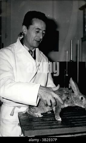 29 fév. 2012 - la plus grande autorité française en hibernation de Dr Laborit annonce une nouvelle réalisation scientifique Ã¢â‚¬â€œ Dr Laborit, considéré comme la plus grande worldÃ¢â‚¬â„¢autorité française en hibernation, a annoncé une nouvelle réalisation dans ses expériences. Il a réussi à faire battre les tours d'oreille d'un rabbitÃ¢â‚¬â„¢s coeur hiberné à 2&DEG ;. Sa réalisation la plus remarquable est d'hiberner des lapins à 10 degrés ; puis de les ramener à la vie en parfait état. OPS : Dr Laborit photographié dans son laboratoire parisien ce matin. Jan. 23rd/61 (crédit image : © Keystone Pictures US Banque D'Images