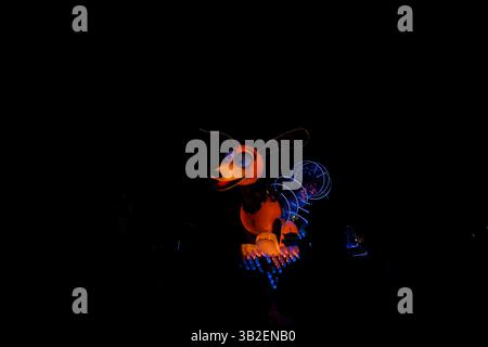 Peignez la nuit 2016 et la journée au parc, Disneyland, Anaheim, Californie Banque D'Images