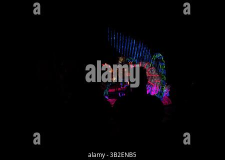 Peignez la nuit 2016 et la journée au parc, Disneyland, Anaheim, Californie Banque D'Images