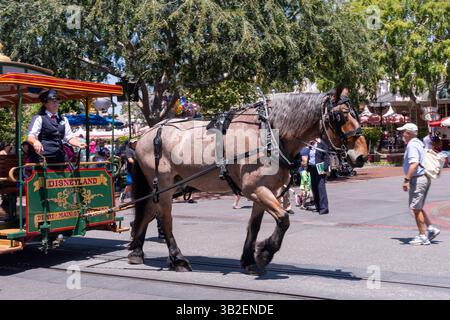 Peignez la nuit 2016 et la journée au parc, Disneyland, Anaheim, Californie Banque D'Images