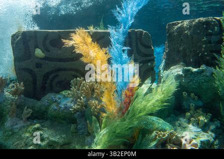 Peignez la nuit 2016 et la journée au parc, Disneyland, Anaheim, Californie Banque D'Images