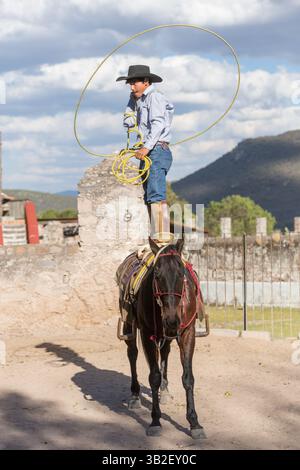 6 janvier 2016 - Alcocer, Guanajuato, Mexique - Un charro ou Un cow-boy mexicain pratique la corde debout sur son cheval avant une compétition de Charreada dans un ranch de l'hacienda à Alcocer, au Mexique. La Charreada est une forme mexicaine traditionnelle de rodéo qui teste les compétences du cow-boy à monter, à la corde et à contrôler le bétail. (Crédit image : © Richard Ellis via ZUMA Wire) Banque D'Images