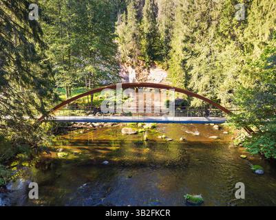Un pont pittoresque enjambant une rivière cristalline qui coule à travers les étendues verdoyantes du parc naturel de Taevaskoda, un endroit idéal pour une promenade paisible. Banque D'Images