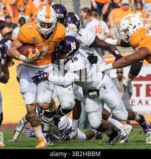 1er janvier 2016 : Anthony Walker (18 ans), le linebacker des Wildcats du Nord-Ouest, affronte les volontaires du Tennessee en courant Jalen Hurd (1) au 2e quart-temps du match entre le Tennessee et le Northwestern à l'Outback Bowl de Tampa en Floride. Crédit image : Del Mecum CSM (crédit image : © Del Mecum/CSM via ZUMA Wire) Banque D'Images