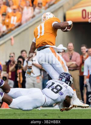 1er janvier 2016 le linebacker des Northwestern Wildcats Anthony Walker (18 ans) affronte le quarterback des volontaires du Tennessee Joshua Dobbs (11 ans) au 1er quart-temps dans le match entre le Tennessee et le Northwestern à l'Outback Bowl à Tampa en Floride. Crédit image : Del Mecum CSM (crédit image : © Del Mecum/CSM via ZUMA Wire) Banque D'Images