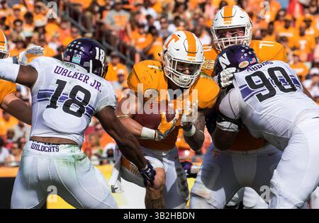 1er janvier 2016 : les volontaires du Tennessee repoussant Jalen Hurd (1) rencontrent le lineman défensif des Northwestern Wildcats C.J. Robbins (90) et le linebacker des Northwestern Wildcats Anthony Walker (18) sur la ligne de scrimmage dans le 2e quart du match entre Tennessee et Northwestern à l'Outback Bowl à Tampa FL. Crédit image : Del Mecum CSM (crédit image : © Del Mecum/CSM via ZUMA Wire) Banque D'Images