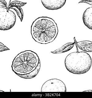 Modèle sans couture avec des fruits de yuzu dans le style de gravure. Illustration vectorielle monochrome. Illustration de Vecteur