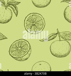 Modèle sans couture avec des fruits de yuzu dans le style de gravure. Illustration vectorielle monochrome. Illustration de Vecteur