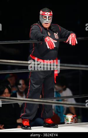 Tokyo, Japon. 27 avril 2025. Catcheur professionnel mexicain ou luchador Octagon est vu lors de la Lucha Fiesta au Sumo Arena de Tokyo. Les lutteurs professionnels japonais affrontent des joueurs étrangers (principalement mexicains) lors de neuf matchs. (Crédit image : © Rodrigo Reyes Marin/ZUMA Press Wire) USAGE ÉDITORIAL SEULEMENT ! Non destiné à UN USAGE commercial ! Banque D'Images