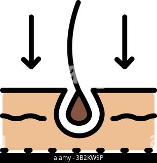 Icône de couleur de soin des cheveux, traitement de perte, hydratation et application de créatine, racines saines, sérum pour follicule, à l'aide de shampooing sec. Icône vectorielle pour Web de Illustration de Vecteur