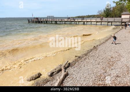 Pollen à la surface du lac Ammersee, Bavière, Allemagne Banque D'Images