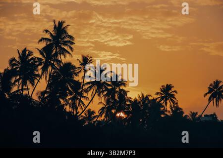 Les palmiers aux silhouettes encadrent un coucher de soleil orange vif, projetant une lueur chaude dans le ciel, créant une scène paradisiaque tropicale. Paysage naturel exotique. Banque D'Images
