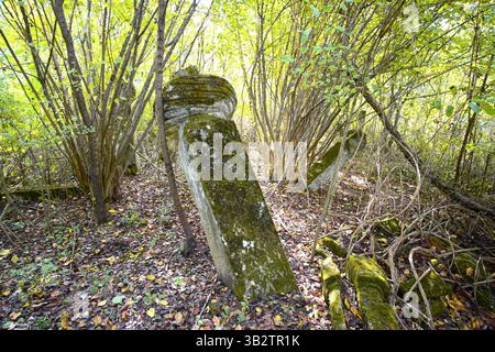 Pierre tombale avec turban stylisé dans un cimetière ottoman abandonné près de la forteresse Havala, parc national Una - Kulen Vakuf, Bosnie-Herzégovine Banque D'Images