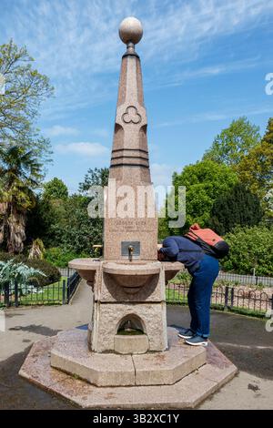 Une femme boit dans une fontaine publique victorienne à boire à Clissols Park, au nord de Londres, au Royaume-Uni Banque D'Images