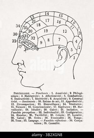 Iillustration d'un diagramme phrénologique montrant un profil d'une tête humaine divisé en sections numérotées, chacune correspondant à un facul mental spécifique Banque D'Images