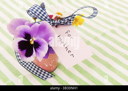 Fleurs cueillies pour mère isolée sur fond blanc Banque D'Images