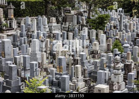 La vue sur la ville de Kyoto depuis le cimetière Higashiotani un après-midi de printemps au Japon Banque D'Images