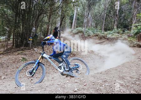 MAYDENA, AUSTRALIE - 07 FÉVRIER : Ronan DUNNE d'Irlande pendant les semis au Red Bull Hardline Tasmania le 7 février 2025 à Maydena, Australie, Océan Banque D'Images
