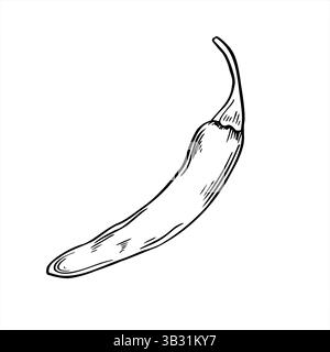 Illustration vectorielle monochrome de gousse de piment épicé entière peinte par des encres noires. Jalapeno, Cayenne ou Chili croquis réaliste. Légume pour nourriture Illustration de Vecteur
