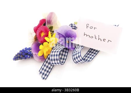 Fleurs cueillies pour mère isolée sur fond blanc Banque D'Images