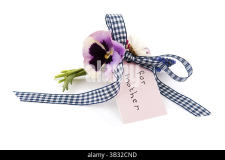 Fleurs cueillies pour mère isolée sur fond blanc Banque D'Images
