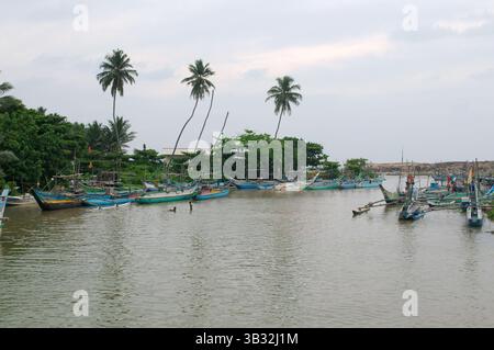 15 janvier 2016 - Sri Lanka - catamaran Bateaux de pêche traditionnels Sri Lanka sont dans le lagon, Hikkaduwa, au Sri Lanka, en Asie du Sud (crédit Image : © Andrey Nekrasov via Zuma sur le fil) Banque D'Images