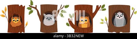 Hiboux en creux. Oiseaux forestiers sauvages assis dans le creux de l'arbre, hibou de bande dessinée dans la maison en bois. Smart sérieusement oiseau dans le nid, vecteur classe de la faune de la nature Illustration de Vecteur