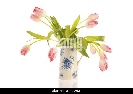 Tulipes de bouquet rose dans un vase hollandais typique isolé sur fond blanc Banque D'Images