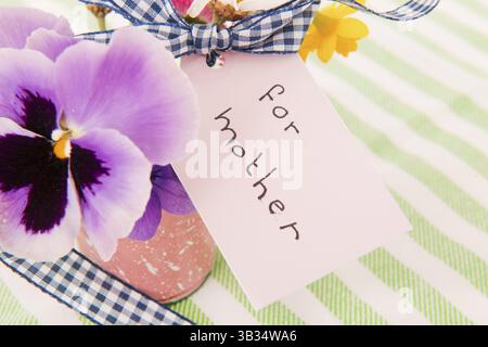 Fleurs cueillies pour mère isolée sur fond blanc Banque D'Images