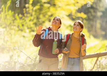 Deux amis partagent un moment joyeux dans une forêt luxuriante, s'émerveillant de la beauté qui les entoure tandis que la lumière du soleil filtre à travers les arbres. Banque D'Images