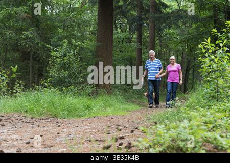 Couple avec chien en forêt en chemin Banque D'Images