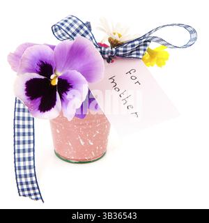 Fleurs cueillies pour mère isolée sur fond blanc Banque D'Images